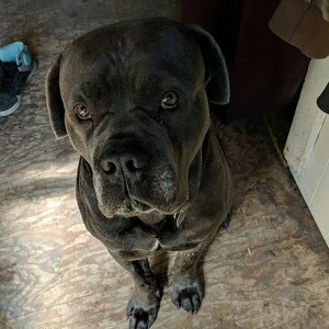 Fundraising Page: Blaze Atamanchuk